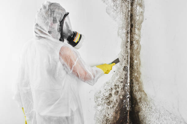 Water Damage Restoration in Diberville, MS