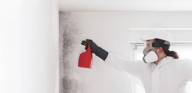 Best Crawl Space Mold Removal  in Diberville, MS